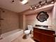 3656 S Seeley, Chicago, IL 60609