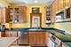 5236 W Cuyler, Chicago, IL 60641