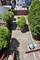 734 S Oakley, Chicago, IL 60612