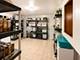 3935 Birchwood, Skokie, IL 60077