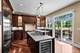 1105 Austin, Park Ridge, IL 60068