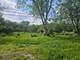 24232 S Kings, Crete, IL 60417