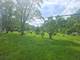 24232 S Kings, Crete, IL 60417