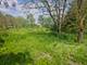 24232 S Kings, Crete, IL 60417