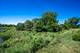 2515 Huntleigh, Woodridge, IL 60517