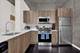 1345 S Wabash Unit 907, Chicago, IL 60605