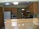 964 Elderberry Unit 116, Naperville, IL 60563