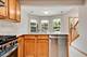 964 Elderberry Unit 116, Naperville, IL 60563