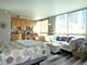 33 W Ontario Unit 16D, Chicago, IL 60654