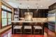 1867 Admiral, Glenview, IL 60026