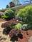 730 Skyline, Barrington, IL 60010