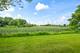 1925 Cloverdale, Schaumburg, IL 60194