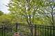 5400 Carriageway Unit 315, Rolling Meadows, IL 60008