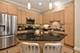 819 Foster Unit 1S, Evanston, IL 60201
