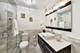 3930 N Pine Grove Unit 1815, Chicago, IL 60613