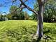 806 Plainfield, Downers Grove, IL 60516