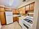 1461 N Winslowe Unit 304, Palatine, IL 60074