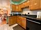 2105 S Tan Unit C, Chicago, IL 60616