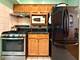 2105 S Tan Unit C, Chicago, IL 60616