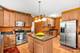 424 Camden, Oswego, IL 60543