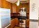70 W Burton Unit 1608, Chicago, IL 60610