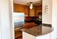 70 W Burton Unit 1608, Chicago, IL 60610