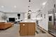 1109 W 16th Unit 1, Chicago, IL 60608