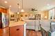 16134 W Coneflower, Lockport, IL 60441
