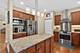230 Churchill, Lombard, IL 60148