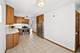 8600 W Ainslie, Norridge, IL 60706