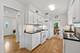 5 S Waterman, Arlington Heights, IL 60004