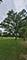 901 E Il Route 60, Grayslake, IL 60030