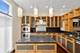 849 N May Unit D, Chicago, IL 60642