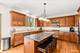 390 Bloomfield, Oswego, IL 60543