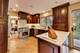 11515 Burr Oak, Burr Ridge, IL 60527