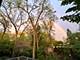 11515 Burr Oak, Burr Ridge, IL 60527