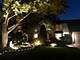 11515 Burr Oak, Burr Ridge, IL 60527