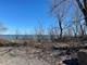 0 Market, Waukegan, IL 60085
