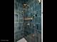1303 W Barry, Chicago, IL 60657