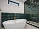 1303 W Barry, Chicago, IL 60657
