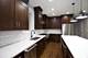 1428 N Paulina Unit 1, Chicago, IL 60622