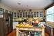 3512 N Bosworth, Chicago, IL 60657