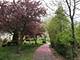 6420 Double Eagle Unit 306, Woodridge, IL 60517
