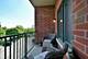 855 E 22nd Unit 313, Lombard, IL 60148