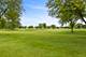 21028 W Snowberry, Plainfield, IL 60544