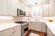 1541 W Montana Unit 1, Chicago, IL 60614