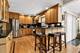 7911 W Rascher, Chicago, IL 60656