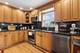 7911 W Rascher, Chicago, IL 60656