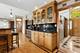 7911 W Rascher, Chicago, IL 60656