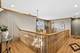 7911 W Rascher, Chicago, IL 60656